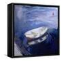 Boat and Buoy, 2003-Sue Jamieson-Framed Stretched Canvas