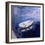 Boat and Buoy, 2003-Sue Jamieson-Framed Giclee Print