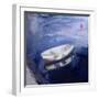 Boat and Buoy, 2003-Sue Jamieson-Framed Giclee Print