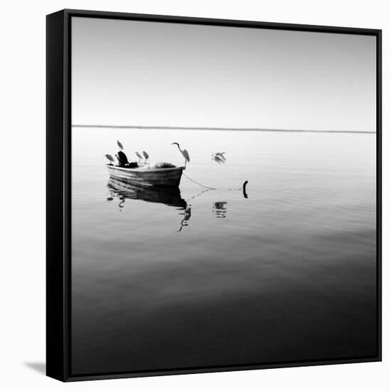 Boat and Heron II-Moises Levy-Framed Stretched Canvas