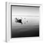 Boat and Heron II-Moises Levy-Framed Premium Photographic Print