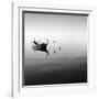 Boat and Heron II-Moises Levy-Framed Photographic Print