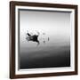 Boat and Heron II-Moises Levy-Framed Photographic Print