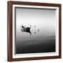 Boat and Heron II-Moises Levy-Framed Photographic Print