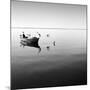 Boat and Heron II-Moises Levy-Mounted Photographic Print