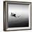 Boat and Heron II-Moises Levy-Framed Photographic Print