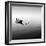 Boat and Heron II-Moises Levy-Framed Photographic Print