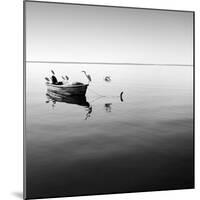 Boat and Heron II-Moises Levy-Mounted Photographic Print