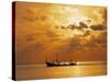 Boat at Sunset, Maldives, Indian Ocean-Jon Arnold-Stretched Canvas