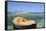 Boat at the Beach, Palau, Sardinia, Italy, Mediterranean, Europe-Markus Lange-Framed Stretched Canvas