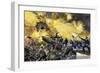 Boat Attack by Federal Forces Retaking Fort Sumter in Charleston Harbor, c.1863-null-Framed Giclee Print