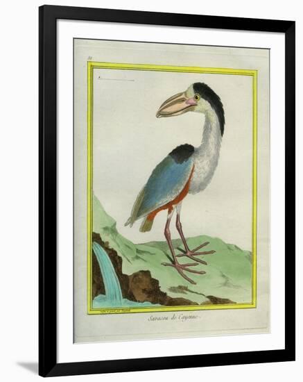 Boat-Billed Heron-Georges-Louis Buffon-Framed Giclee Print