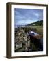 Boat, Cottage and Loch Fyne Near Furnace, Argyll and Bute, Scotland, United Kingdom, Europe-Patrick Dieudonne-Framed Photographic Print