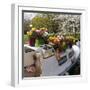 Boat Decorated with Potted Spring Blooms-Anna Miller-Framed Premium Photographic Print