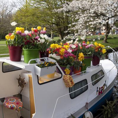 https://imgc.allpostersimages.com/img/posters/boat-decorated-with-potted-spring-blooms_u-L-Q13BQUS0.jpg?artPerspective=n