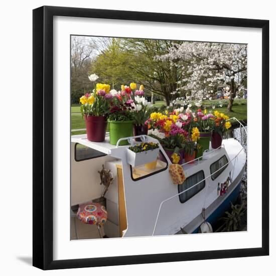 Boat Decorated with Potted Spring Blooms-Anna Miller-Framed Photographic Print