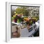 Boat Decorated with Potted Spring Blooms-Anna Miller-Framed Photographic Print