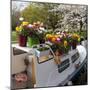 Boat Decorated with Potted Spring Blooms-Anna Miller-Mounted Photographic Print