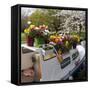 Boat Decorated with Potted Spring Blooms-Anna Miller-Framed Stretched Canvas