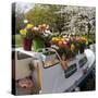 Boat Decorated with Potted Spring Blooms-Anna Miller-Stretched Canvas