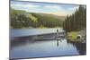 Boat Dock on Lake in Northwest-null-Mounted Art Print