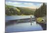 Boat Dock on Lake in Northwest-null-Mounted Art Print