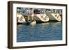 Boat docks and boats at Indiana Dunes, Indiana, USA-Anna Miller-Framed Photographic Print