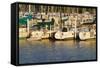 Boat docks and boats at Indiana Dunes, Indiana, USA-Anna Miller-Framed Stretched Canvas