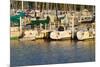 Boat docks and boats at Indiana Dunes, Indiana, USA-Anna Miller-Mounted Photographic Print