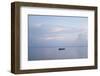 Boat Floating on Water close to Shore, Grand Anse, Praslin Island, Seychelles-Guido Cozzi-Framed Photographic Print