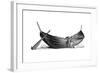 Boat for Fourteen Pairs of Oars, Found at Nydam, Jutland, 1892-null-Framed Giclee Print