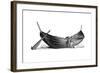 Boat for Fourteen Pairs of Oars, Found at Nydam, Jutland, 1892-null-Framed Giclee Print