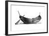 Boat for Fourteen Pairs of Oars, Found at Nydam, Jutland, 1892-null-Framed Giclee Print