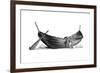 Boat for Fourteen Pairs of Oars, Found at Nydam, Jutland, 1892-null-Framed Giclee Print