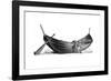 Boat for Fourteen Pairs of Oars, Found at Nydam, Jutland, 1892-null-Framed Giclee Print