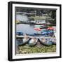 Boat Hire, 'Alte Donau', Vienna, Austria, Europe-Gerhard Wild-Framed Photographic Print