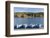 Boat Hire, Walchensee Village, Walchensee Lake, Bavarian Alps, Upper Bavaria, Bavaria, Germany-Markus Lange-Framed Photographic Print