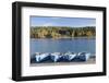 Boat Hire, Walchensee Village, Walchensee Lake, Bavarian Alps, Upper Bavaria, Bavaria, Germany-Markus Lange-Framed Photographic Print