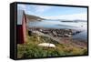 Boat House and Slip. Helgoy, Kvalsund, North Norway, Norway, Scandinavia, Europe-David Lomax-Framed Stretched Canvas