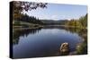 Boat house by a pond, near Bar Harbor, Mount Desert Island, near Arcadia Nat'l Park, Maine, USA-Jean Brooks-Stretched Canvas