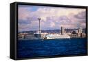 Framed Canvas