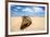 Boat in the Desert, Paracas National Reserve, Peru-xura-Framed Photographic Print