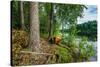 Boat in the forest, Hogland Island, Finland-null-Stretched Canvas