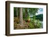 Boat in the forest, Hogland Island, Finland-null-Framed Photographic Print