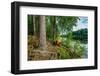 Boat in the forest, Hogland Island, Finland-null-Framed Photographic Print