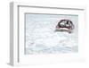 Boat in the Winter on Shore-Ollikainen-Framed Photographic Print