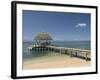 Boat Jetty, Isla Bastimentos, Bocas Del Toro, Panama, Central America-null-Framed Photographic Print