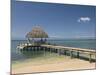 Boat Jetty, Isla Bastimentos, Bocas Del Toro, Panama, Central America-null-Mounted Photographic Print