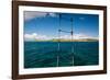 Boat Ladder Leading to the Turquoise Ocean, Culebra Island, Puerto Rico-null-Framed Photographic Print