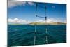 Boat Ladder Leading to the Turquoise Ocean, Culebra Island, Puerto Rico-null-Mounted Photographic Print